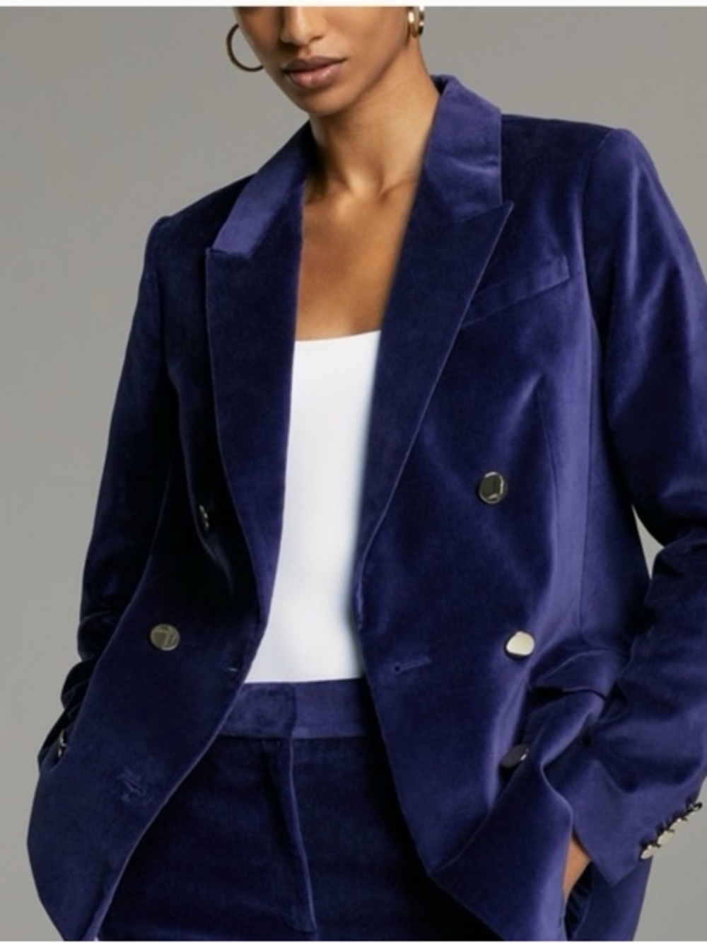 Aritzia Babaton Velvet Double-Breasted Blazer AND Trousers SET (Size 4 & 6) - Picture 9 of 9